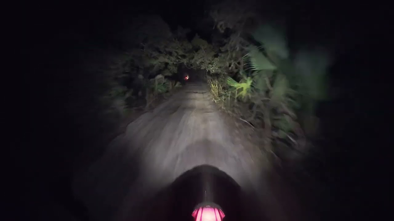Epic After-Dark Dual Sport Adventure – CRF450RL + KTM 350/500 EXC-F Ocala National Forest