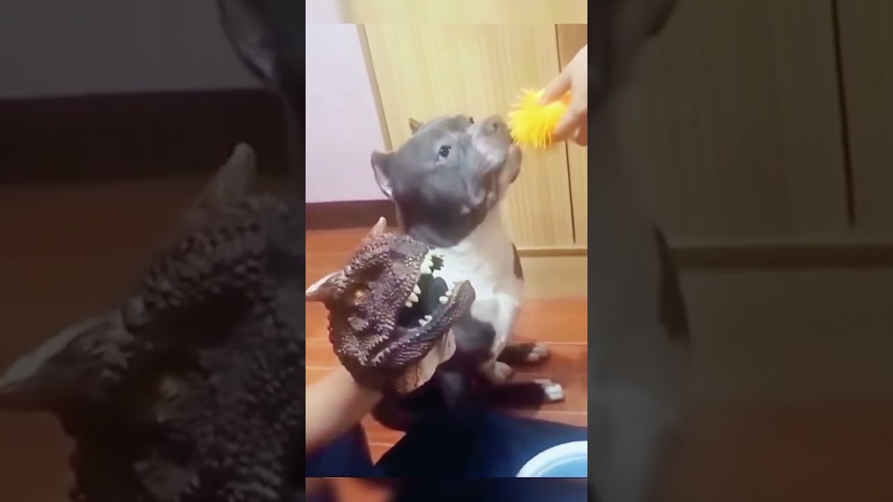 GOTTA SEE - Dog Biting Problem Solved with Whack-a-Puppet! 😂 #shorts