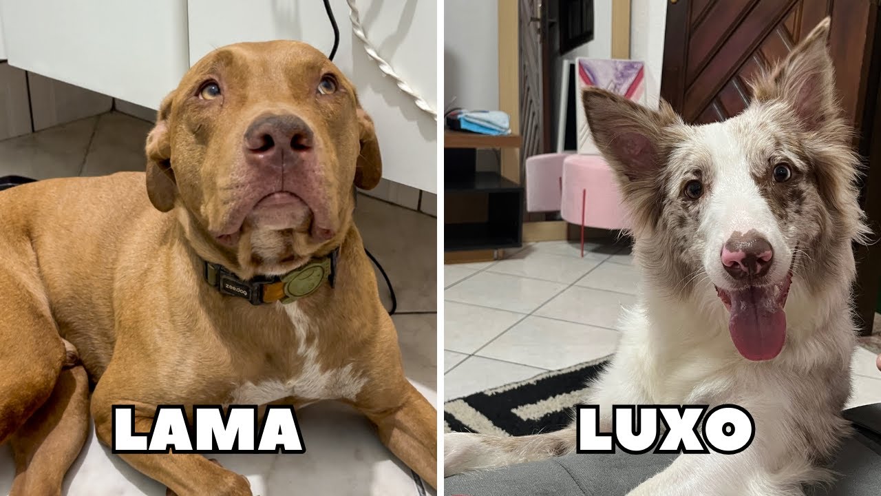 O Banho Mais Aguardado Após 24 Horas Na Lama