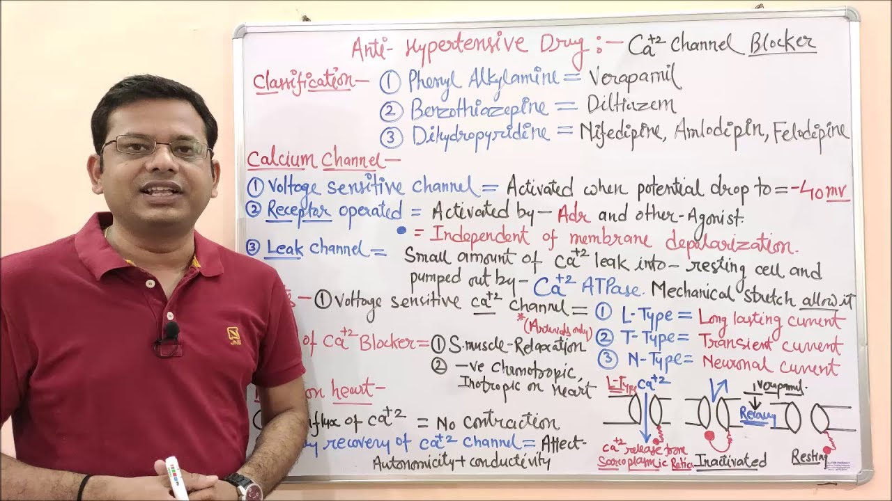 Antihypertensive Drug (Part- 07) Calcium Channel Blocker = Mechanism of Action | Ca +Channel Blocker