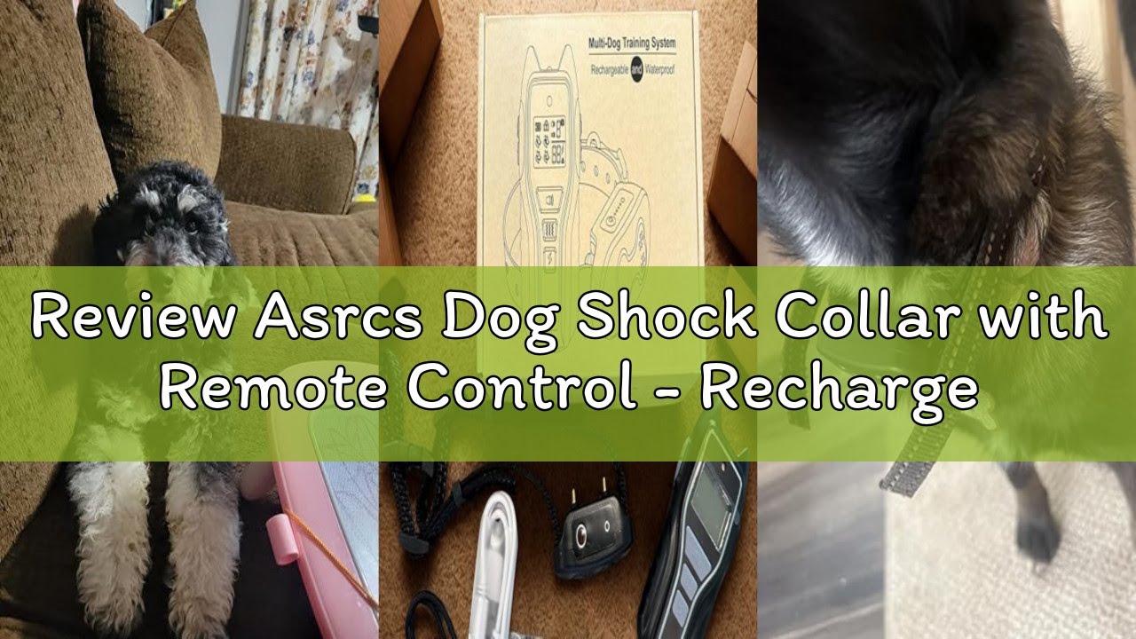 Review Asrcs Dog Shock Collar with Remote Control - Rechargeable Dog Training Collar, IPX7 Waterproo