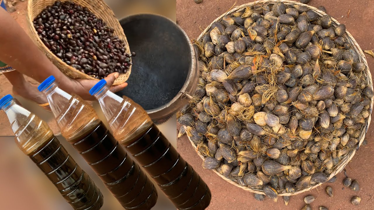 HOW TO MAKE A PALM KERNEL OIL,FROM SCRATCH/Ude aki /African mama Recipes (MUST WATCH)