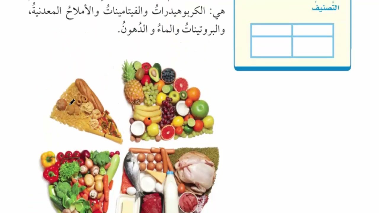 شرح درس الغذاء والتغذية مادة العلوم الصف الرابع الابتدائي | المنهج المطور
