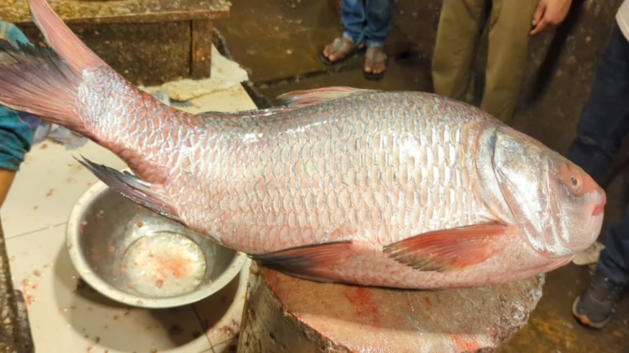 10 KG Giant Catla Carp Fish Cutting Skills In Bangladesh Local Fish Market By Expert Cutter
