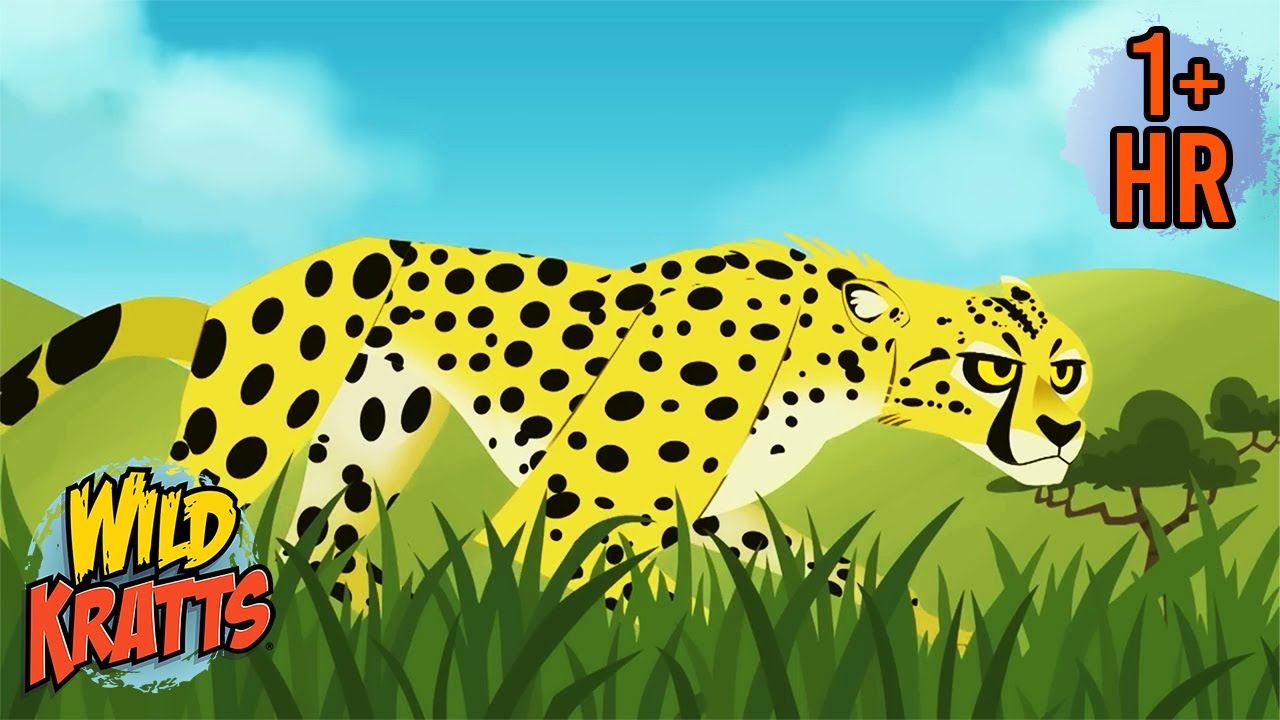 Speedy Cheetahs | Wildest Moments of Amazing Powers | Wild Kratts