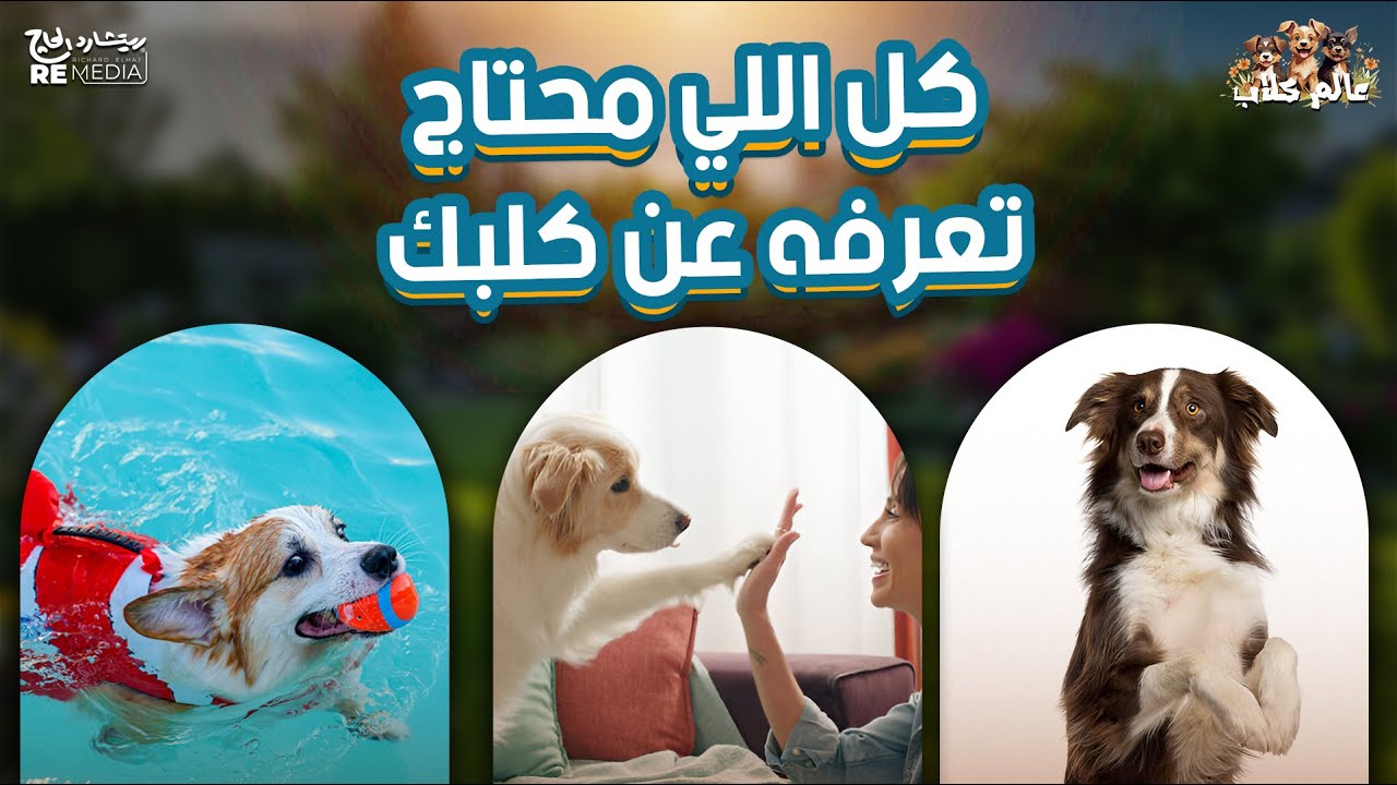 كل الى محتاج تعرفه عن كلبك 🦴🐾
