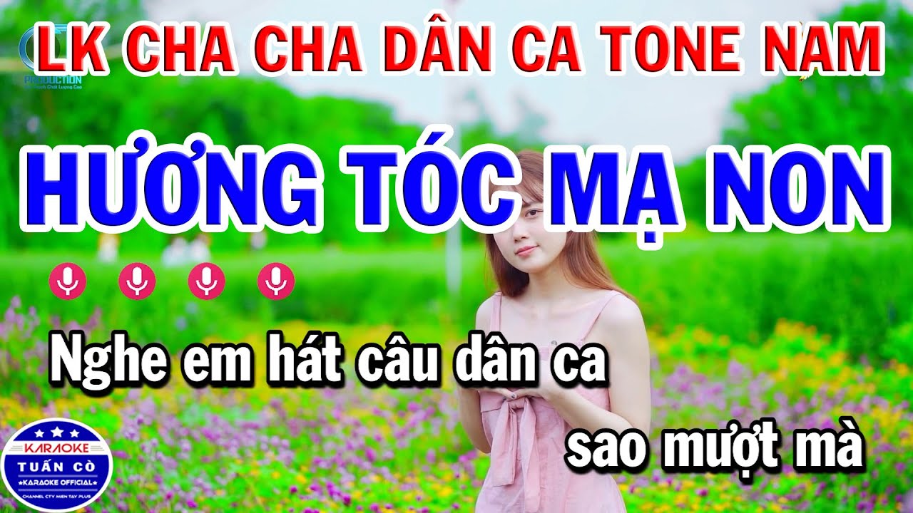 Liên Khúc Nhạc Sống Cha Cha Dân Ca | Hương Tóc Mạ Non | Cây Cầu Dừa
