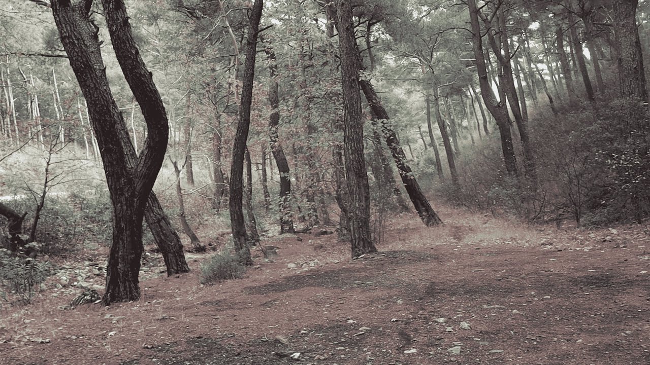 İZMİRİN KAMP MERKEZİ KEMALPAŞA'DA HAFTA SONU KAMPI.