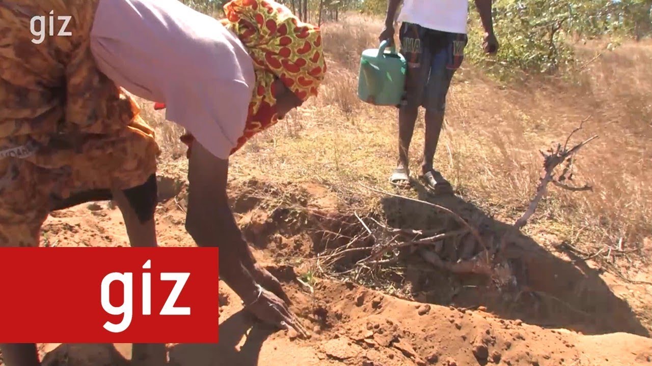 Doudou - l'entrepreneur vert Madagascar - La filière Bois énergie
