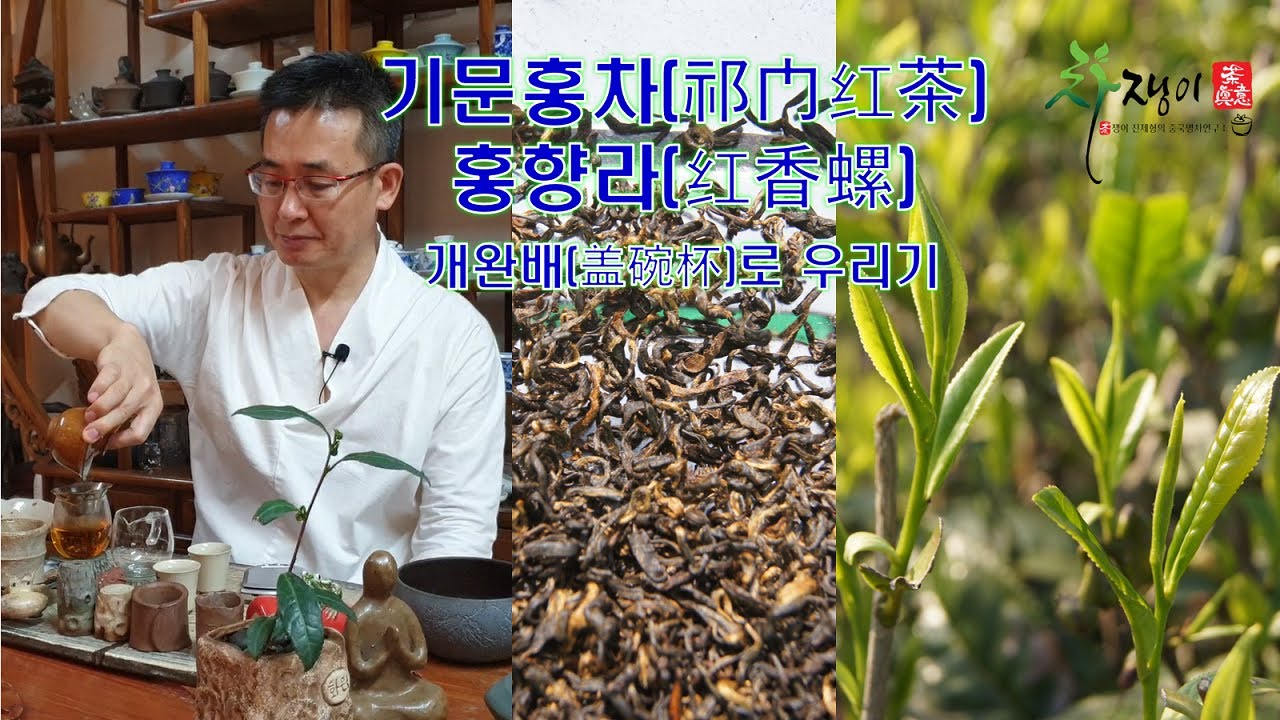 기문홍차(祁门红茶) 홍향라(红香螺) 개완배(盖碗杯)로 우리기