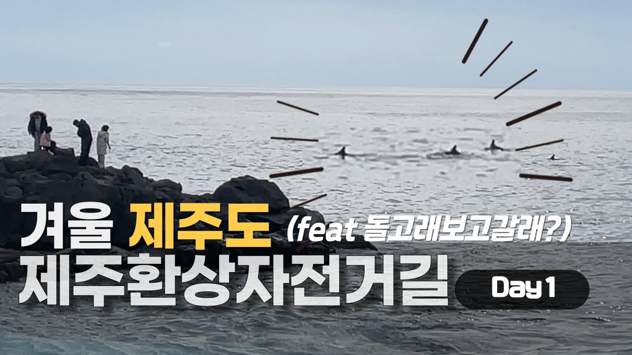 겨울 제주환상자전거길 1일차 | BROMPTON 타고 국토종주 EP.1 | ft.돌고래 보고 갈래?