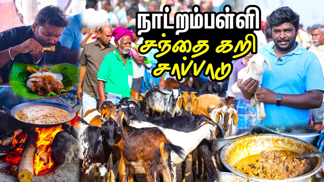 நாட்றம்பள்ளி ஆட்டு சந்தை தரமான கிராமத்து கறி விருந்து  I Natrampalli Santhai I Village Database