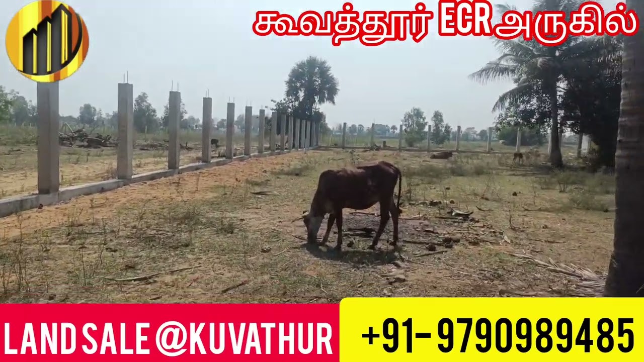 Beach layout approval plot 8 plot for Sale. Per sq. Feet 1000/Rs negotiable.