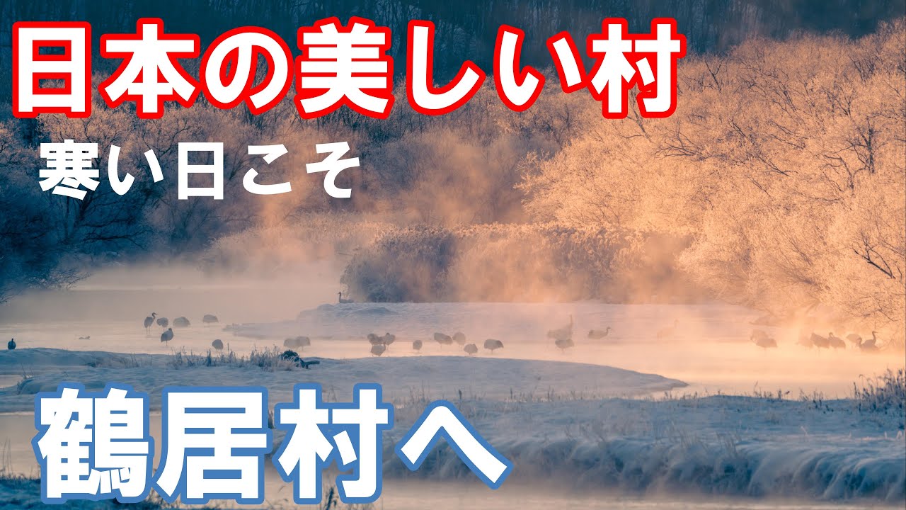 2024年最新版 厳冬期限定 行くなら早朝 鶴の居る風景  鶴居村【4K】北海道 道東 音羽橋 貴重な 気嵐 樹氷 絶景 Hokkaido