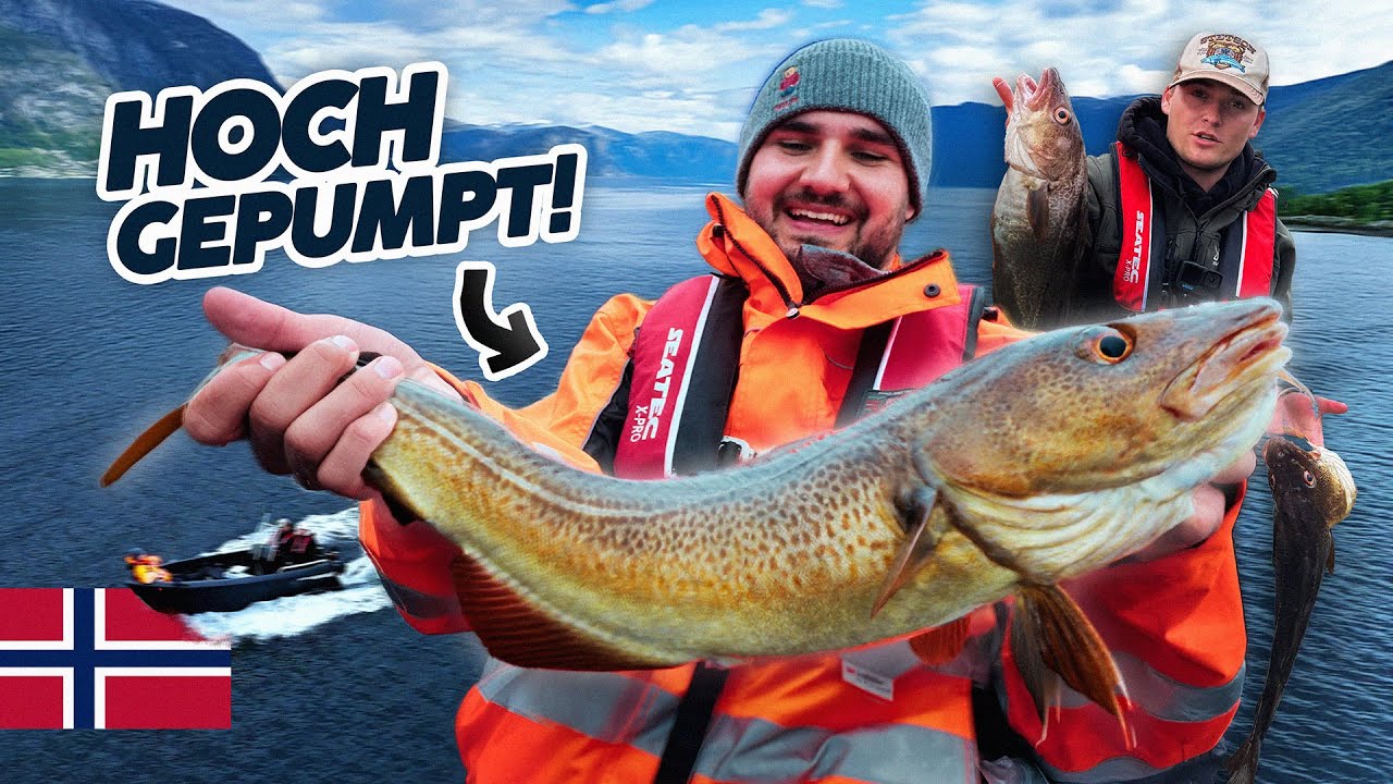 Dicke DORSCHE in SÜDNORWEGEN🤔 | Catch and Cook in Farsund | Angeltrip Norwegen