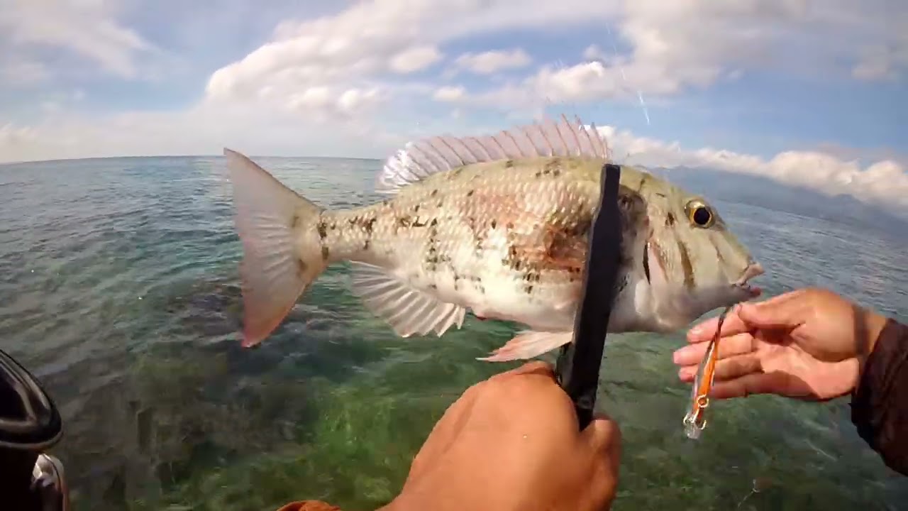 ULTRALIGHT FISHING 