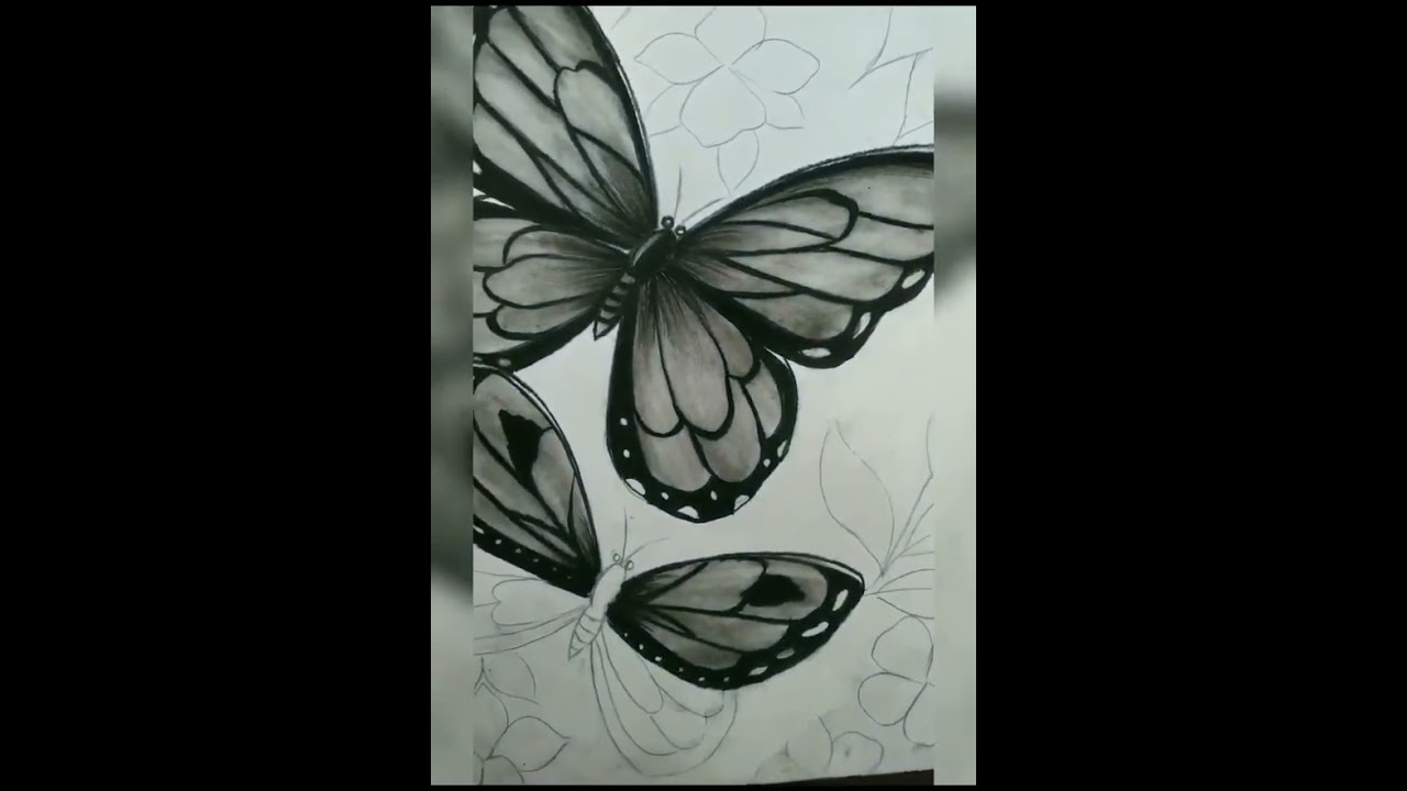 Butterfly 🦋🦋 #sketch#charcoal  drawing #✨✨🦋🦋🦋