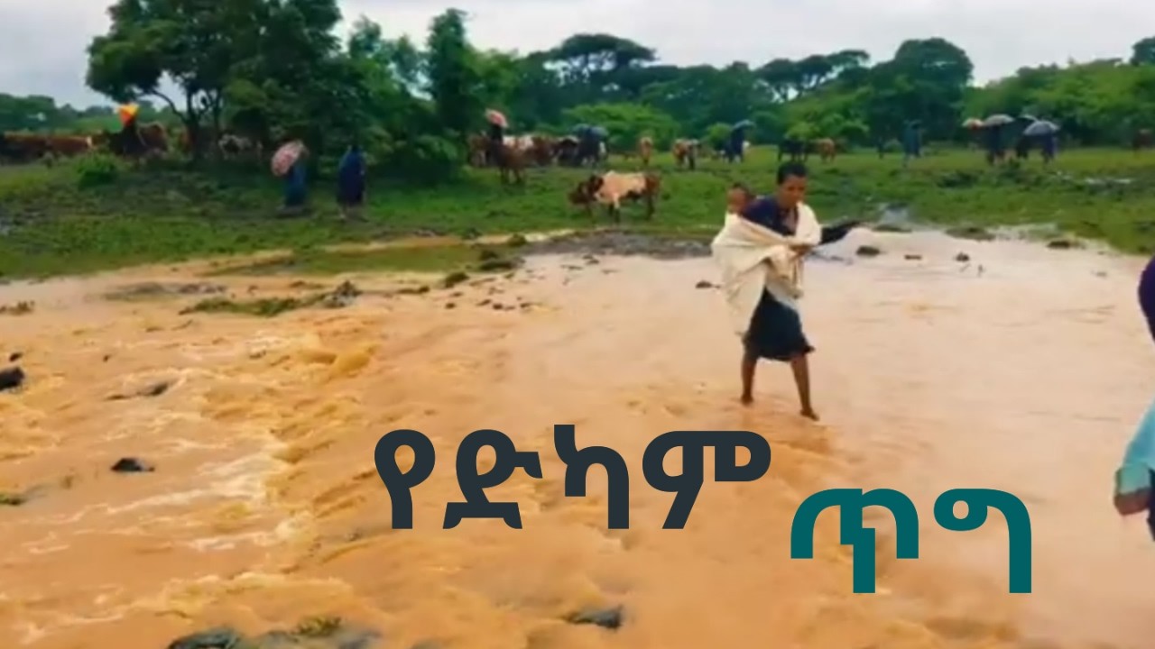 ✔ ሀምሌና ገጠራማው መንገድ ጀርባ ለጀርባ ይታያሉ //መሬቱ አረስርሶ አረንጓዴው ደመምቋል //ገባያተኞች በክረምት ይገሰግሳሉ /Ethiopian rode.