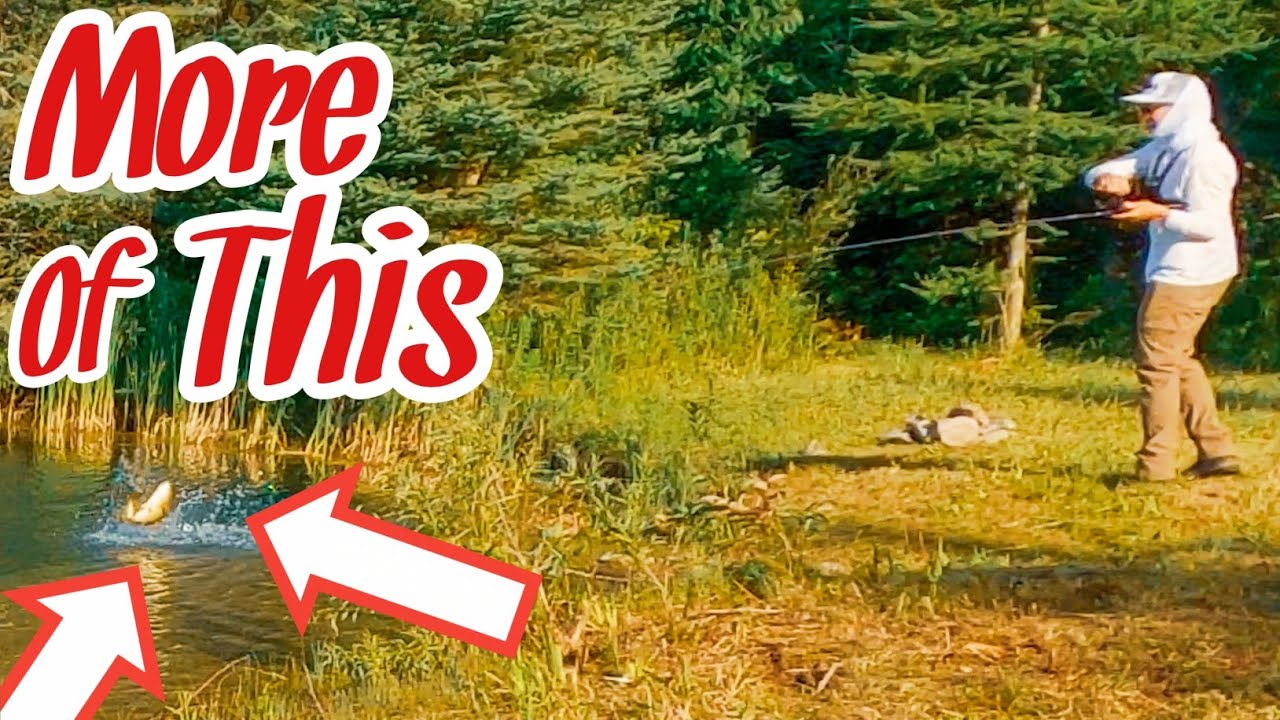 4 Quarry Fishing Tips to Catch More Fish!