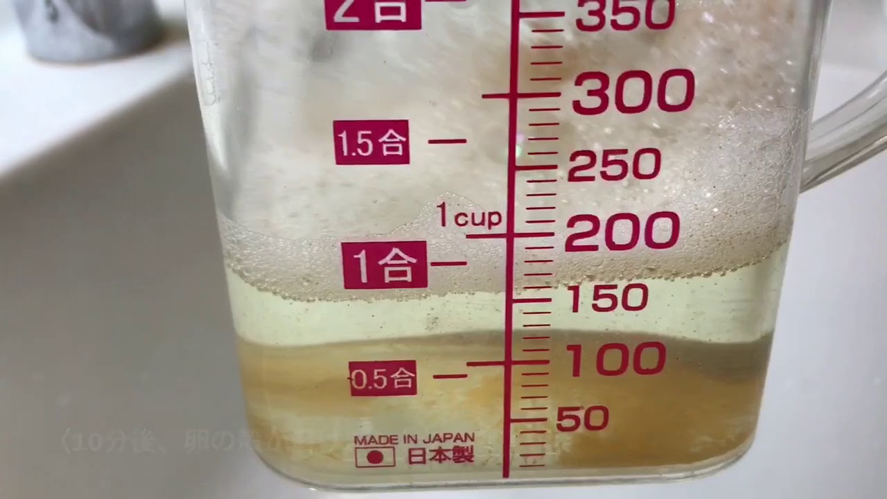 ブラインシュリンプ殻無し孵化の術