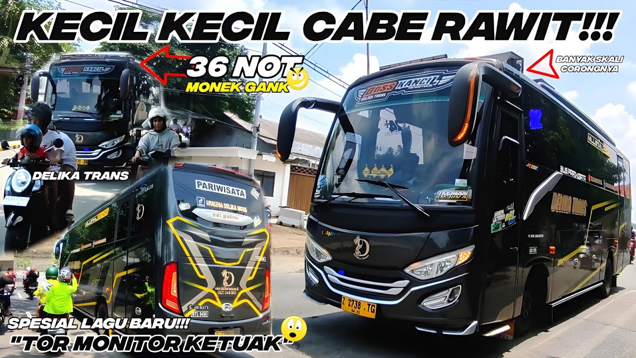 36 NOTS MONEK GANK🔥NYARING BANGET BASURINYA, BUS DELIKA TRANS 