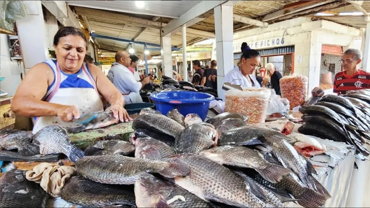 ACOMPANHE A FEIRA LIVRE DA CENTRAL EM CAMPINA GRANDE-PB