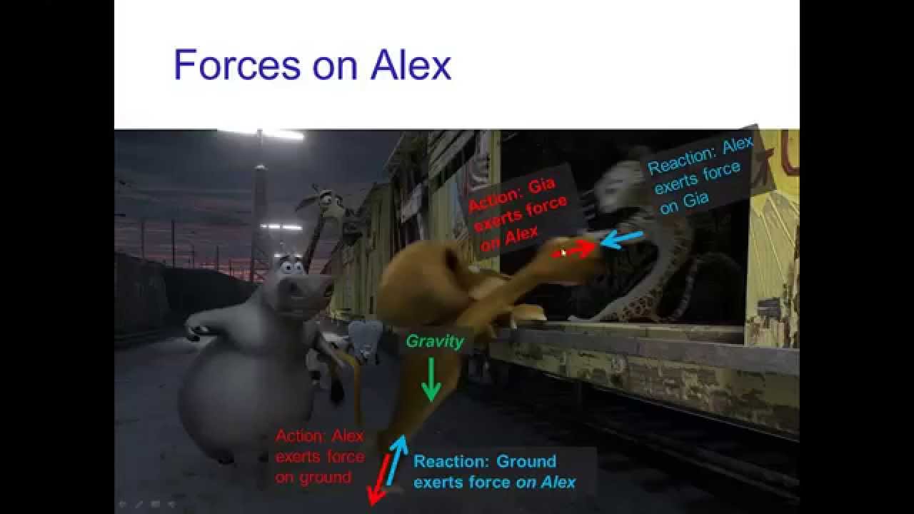 Action/Reaction Principle, Part 2