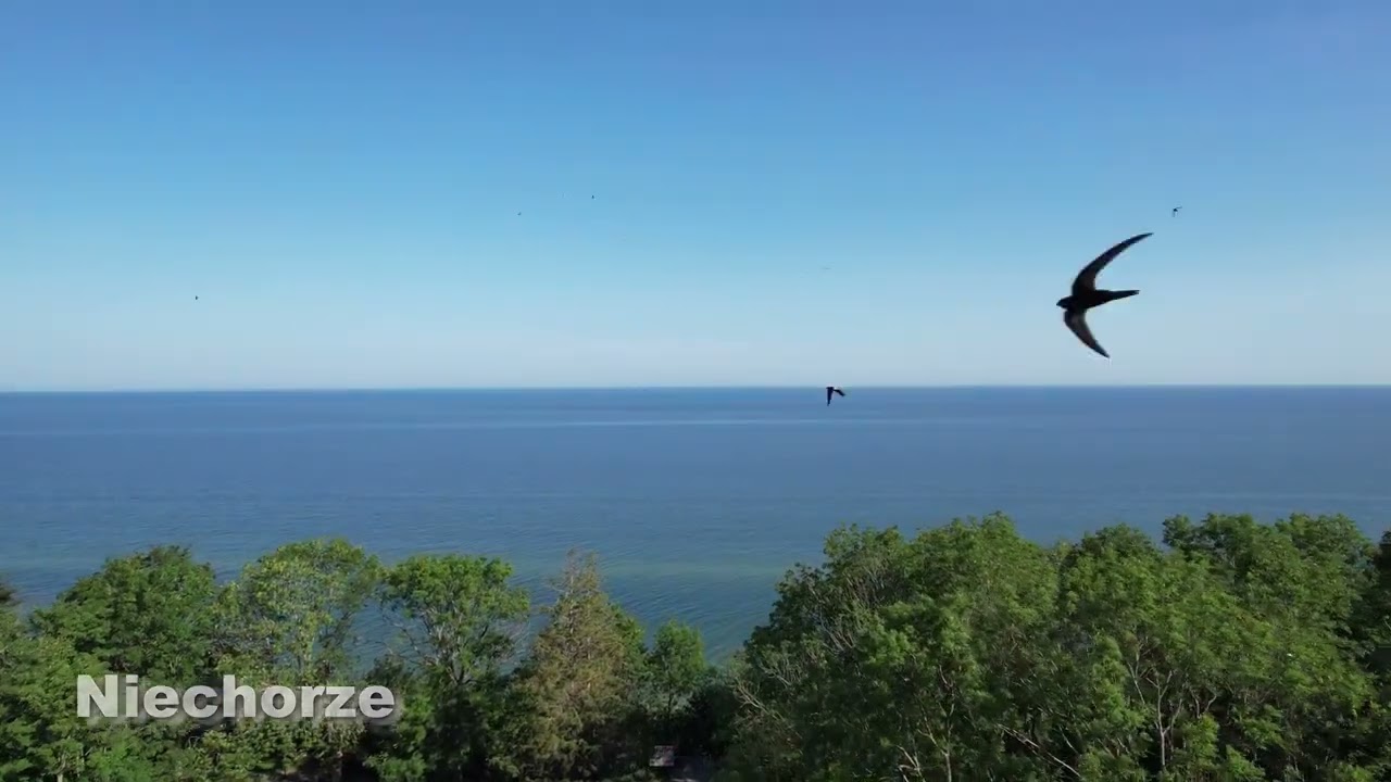 Polska 4K - Film relaksacyjny z uspokajającą muzyką - MuchaDrone