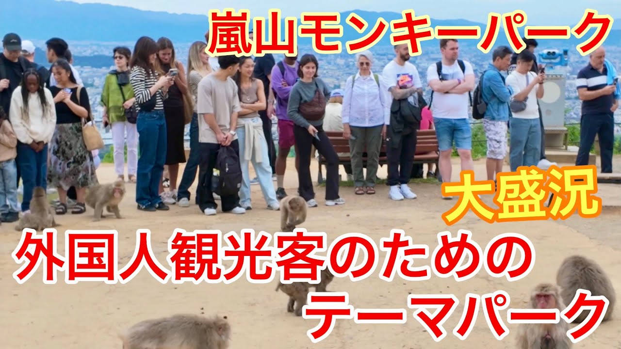 2025年5月31日 【外国人観光客のためのテーマパーク】 大盛況の嵐山モンキーパーク Arashiyama Monkey Park