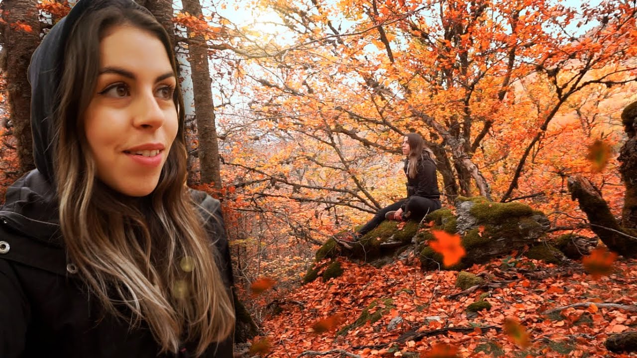 🍂 Visito un Hayedo en Otoño /💫 Mi Momento para Desintoxicar la Mente y Dejar de Pensar Tanto