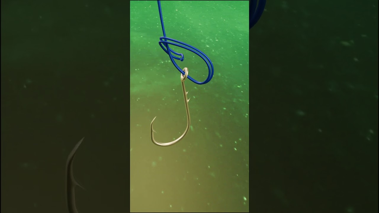 Most Reliable Fishing Knot 🏆 #FishingKnots #FishingKnot #Knot #Knots
