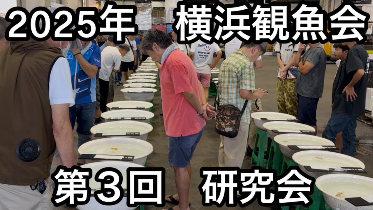 横浜観魚会第３回研究会に行ってきました。