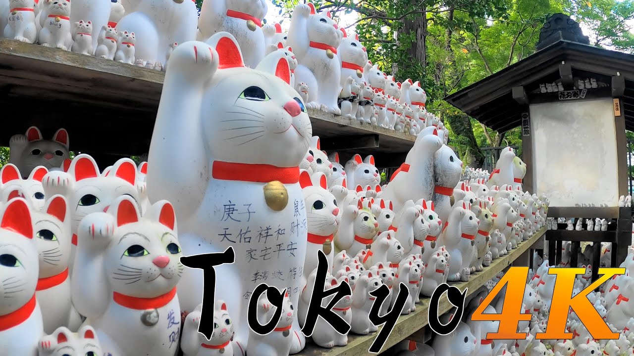 [4K] Tokyo Autumn Walk 🐈 Gōtoku-ji 豪徳寺 in Setagaya 世田谷