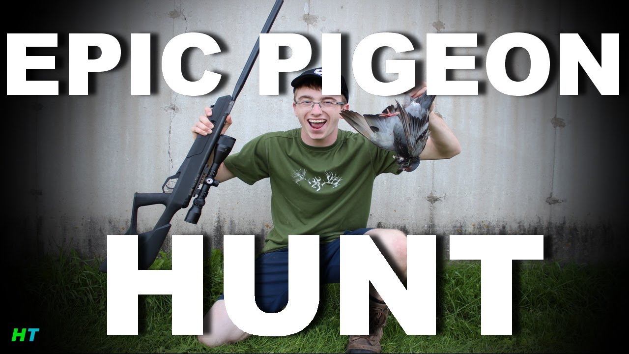 Epic Pigeon Hunt With Benjamin Trail NP2 .22 Pellet Gun