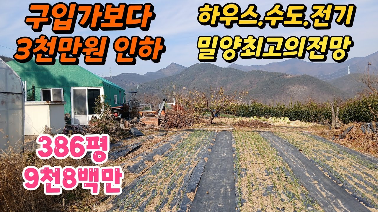 땅이모531. 지하수 전기 3천만원 손해 386평 9천8백만 문의 010-9487-8654#밀양주말농장매매#밀양토지매매#밀양농막매매#밀양체류형쉼터매매#밀양급매토지#밀양전원주택지매매