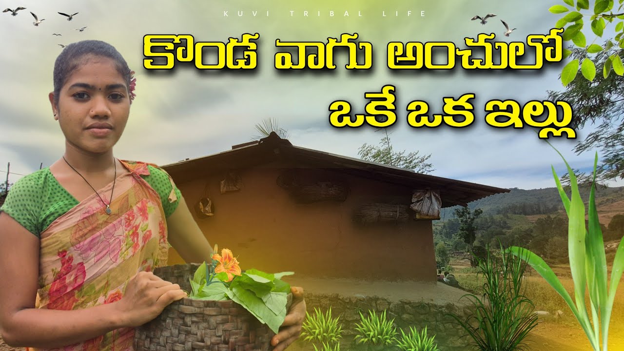 కొండ వాగు గట్టు మీద ఒకే ఒక ఇల్లు@Kuvitriballife 