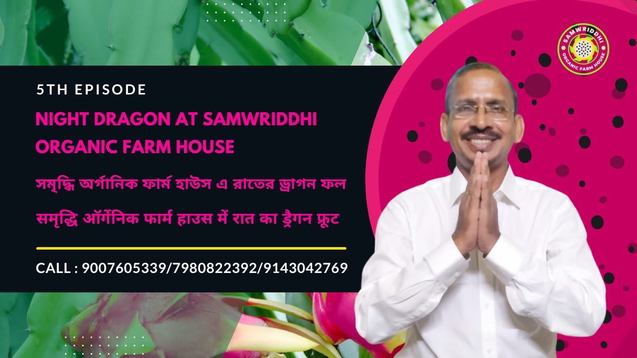 Night Dragon At Samwriddhi Organic Farm House