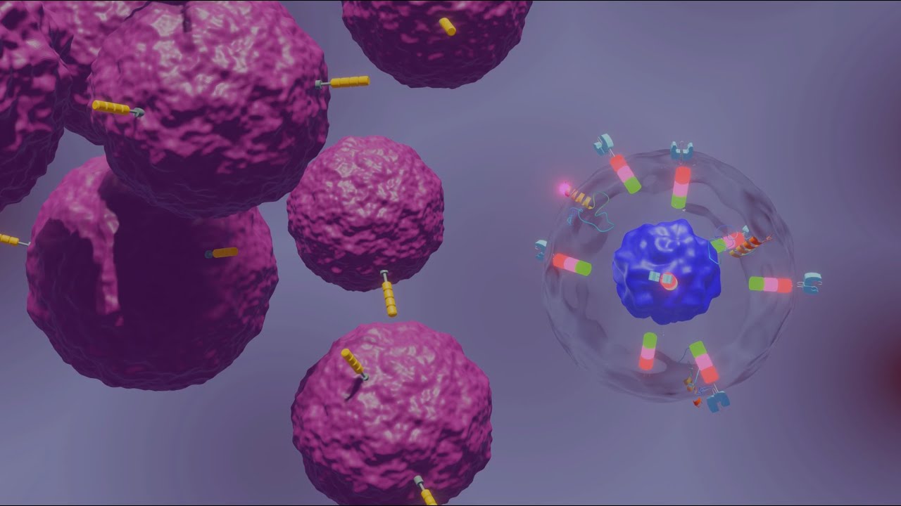 B7-H3 CAR-T Immunotherapy for solid tumors
