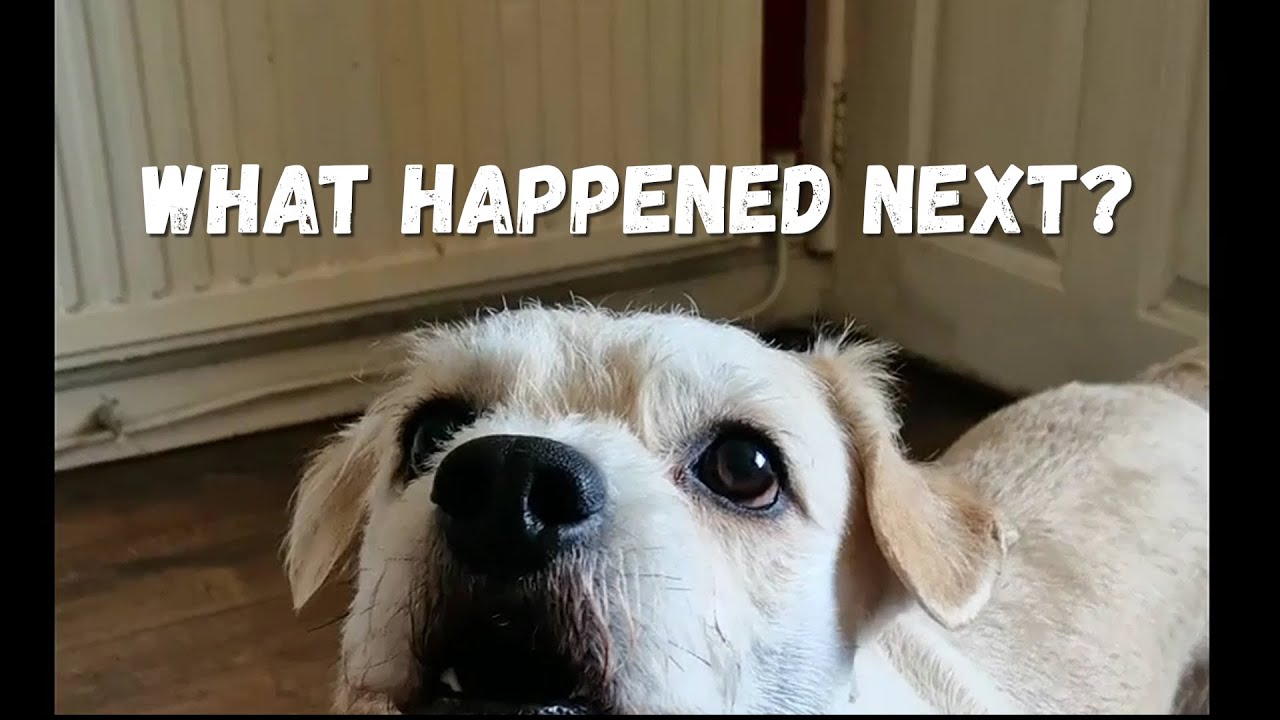Find out what happened with Ethel and "The Tesco Incident"