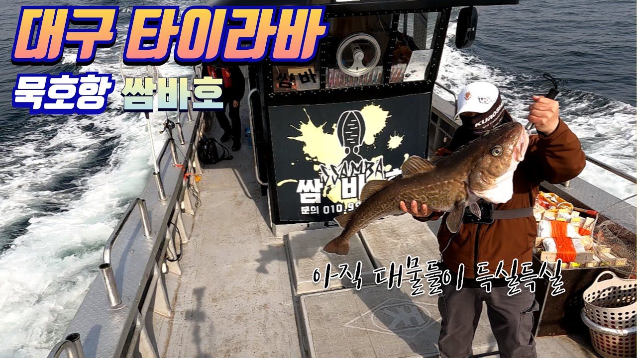 묵호항 4월 9일 대구라바 [쌈바호]