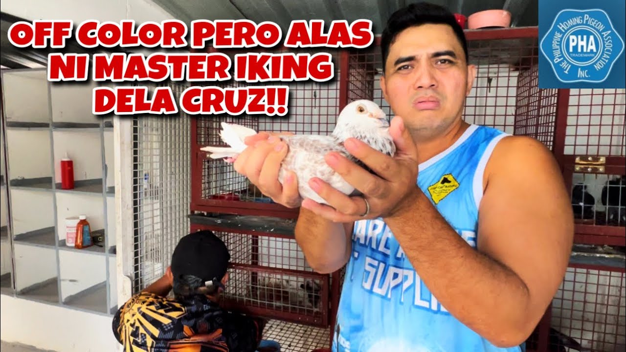POOLING KING NANG VALENZUELA, MASTER IKING DELA CRUZ!!