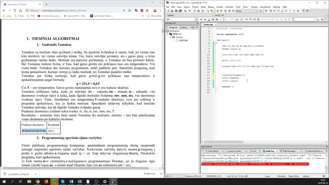 Programavimas:  Įvadas (1)