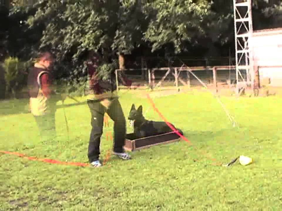 Kash du triangle magique