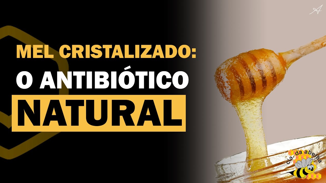 Tudo sobre o mel cristalizado | Cia da Abelha