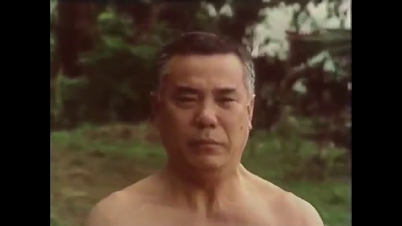 Karate. The way of the empty hand. Morio Higaonna. Goju Ryu