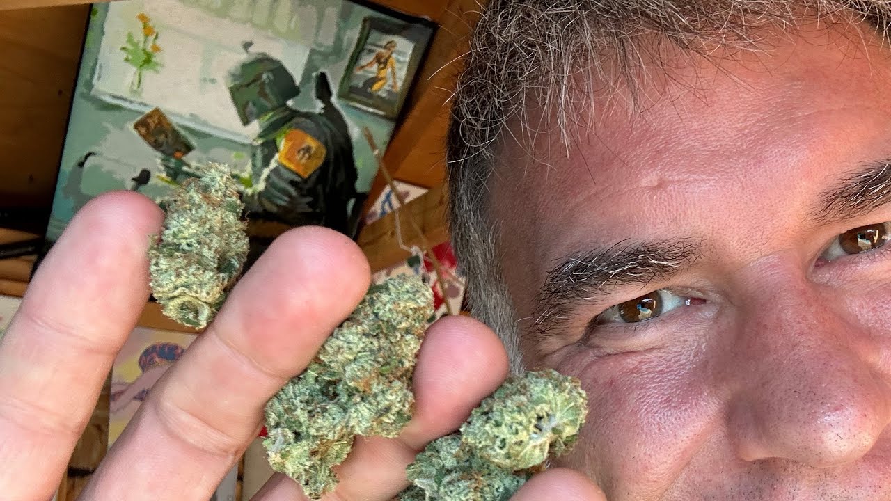 2023 10 04 The Shed! with Frost Cannabis Rotating Strain 91&rsquo; Royal 3.5g