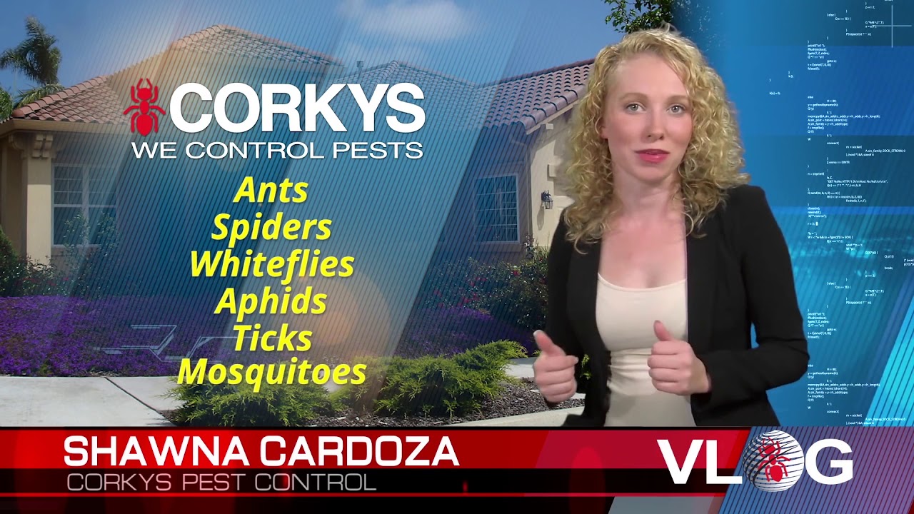 Corkys Ultimate Pest Control