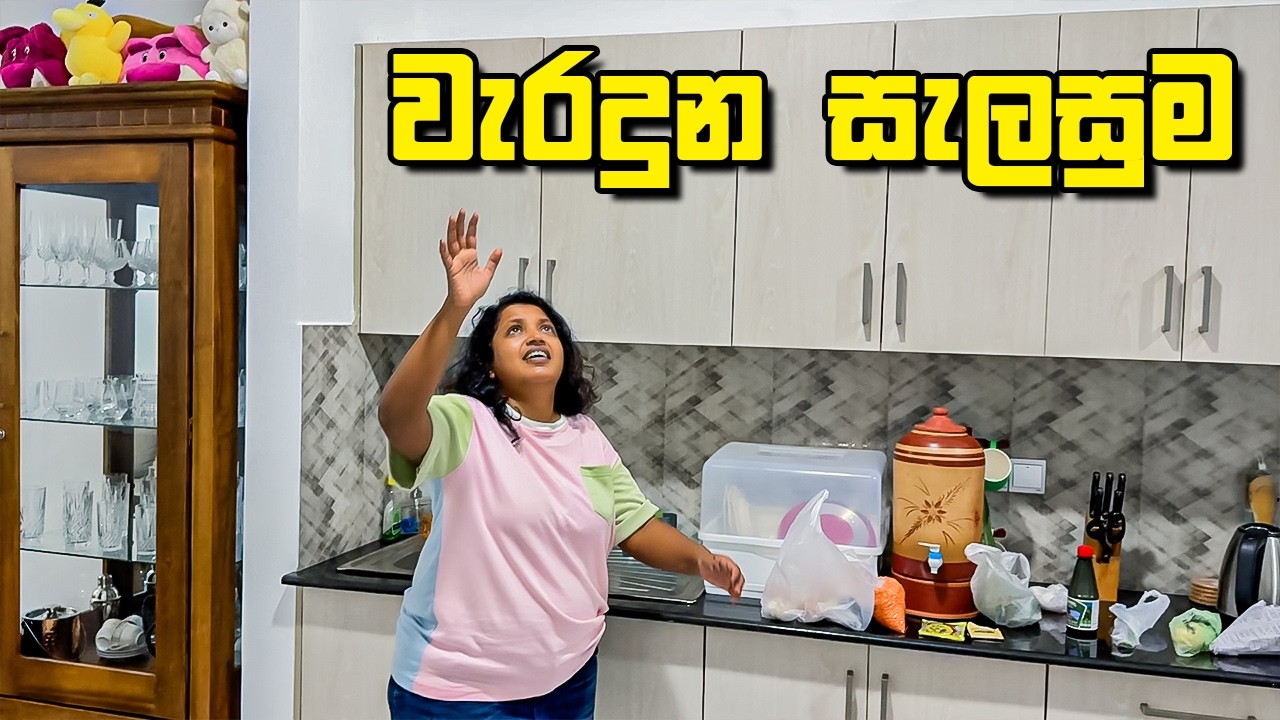 ප්ලෑන් ඔක්කොම අවුල් ගියා  - VLOG 454