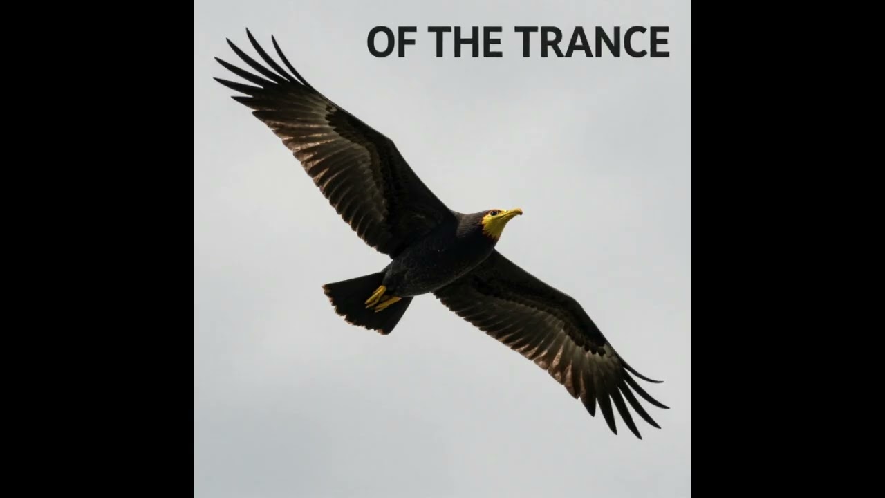 Flight of the Trance - #edm #Trance #Worldbeat #breakbeat #downtempo #electronica