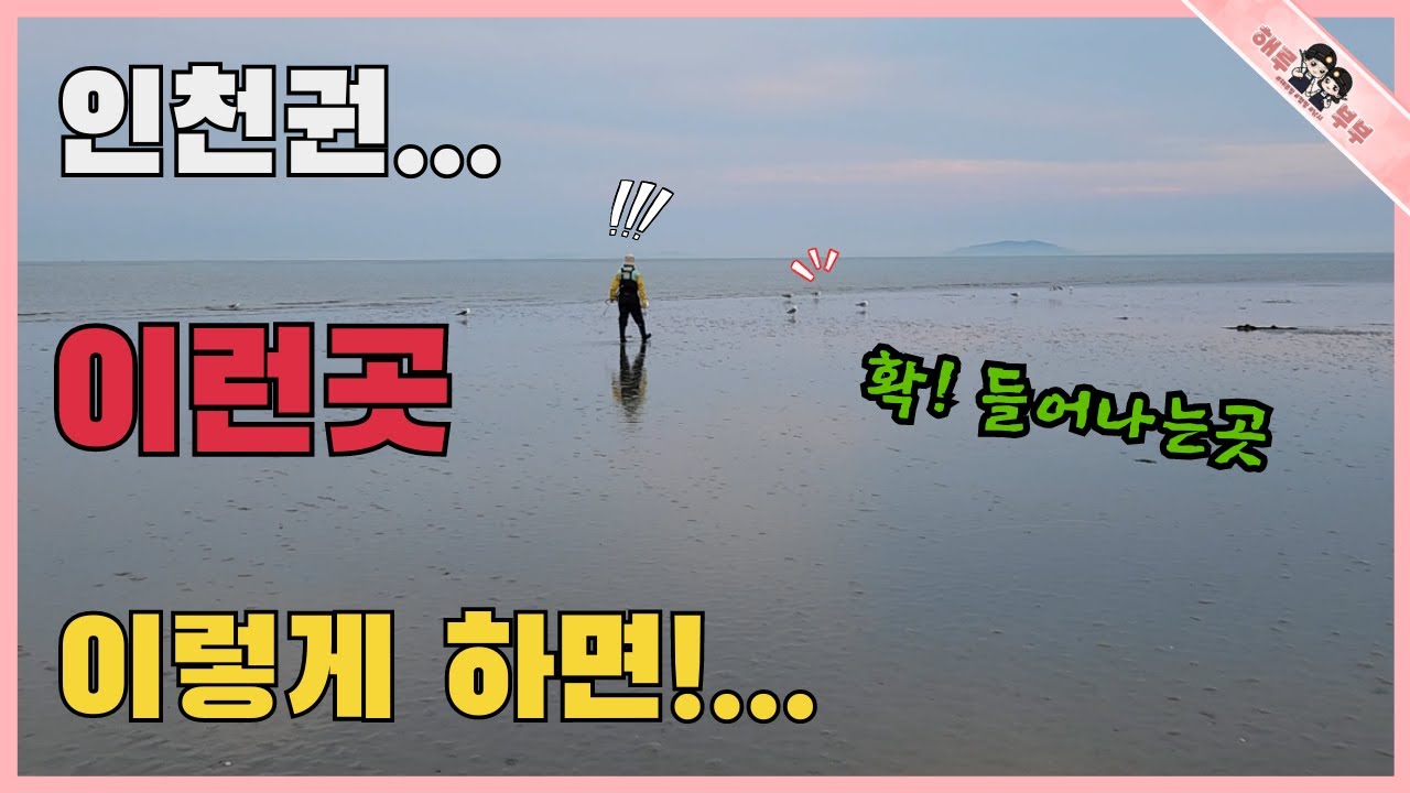인천바다 소문난 포인트 갔는데 이런 횡재가있다니